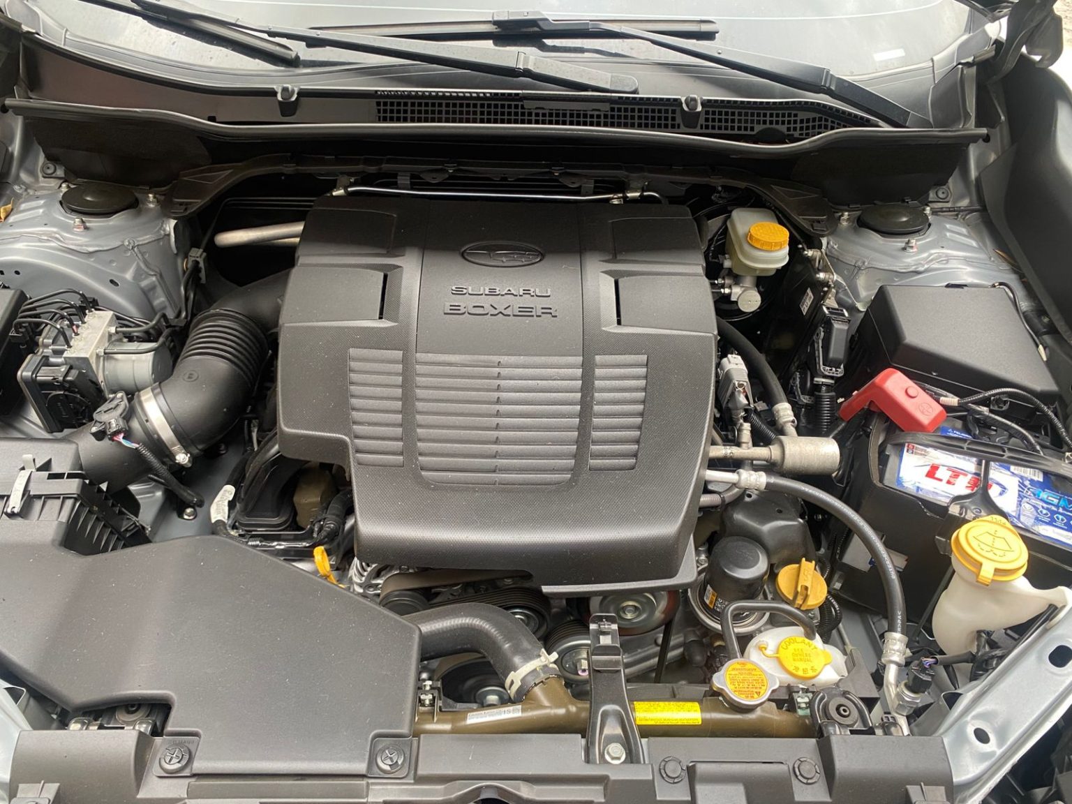 P631JKW011