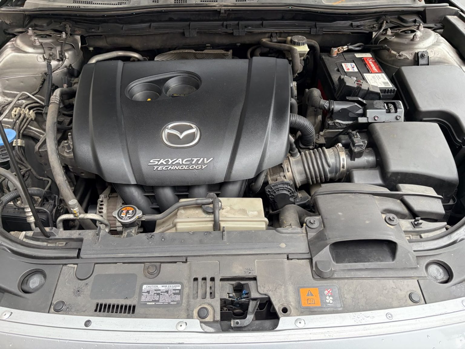P713JYV010