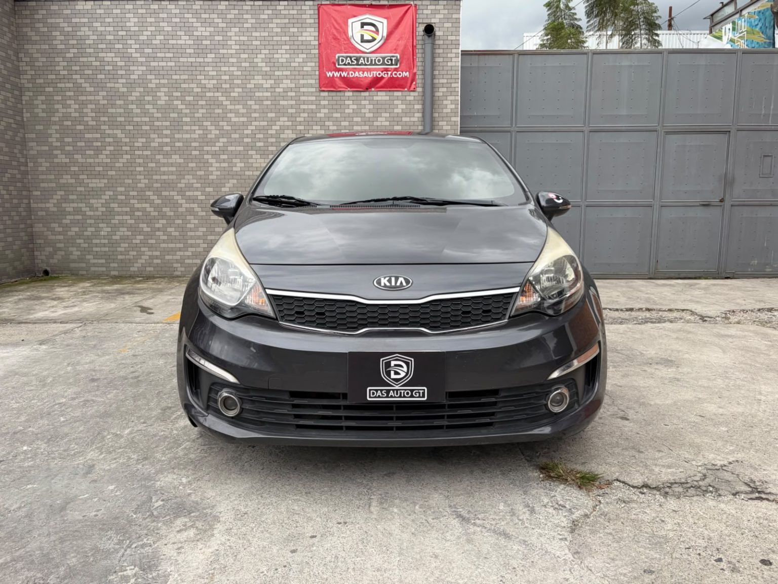 P119FZM008